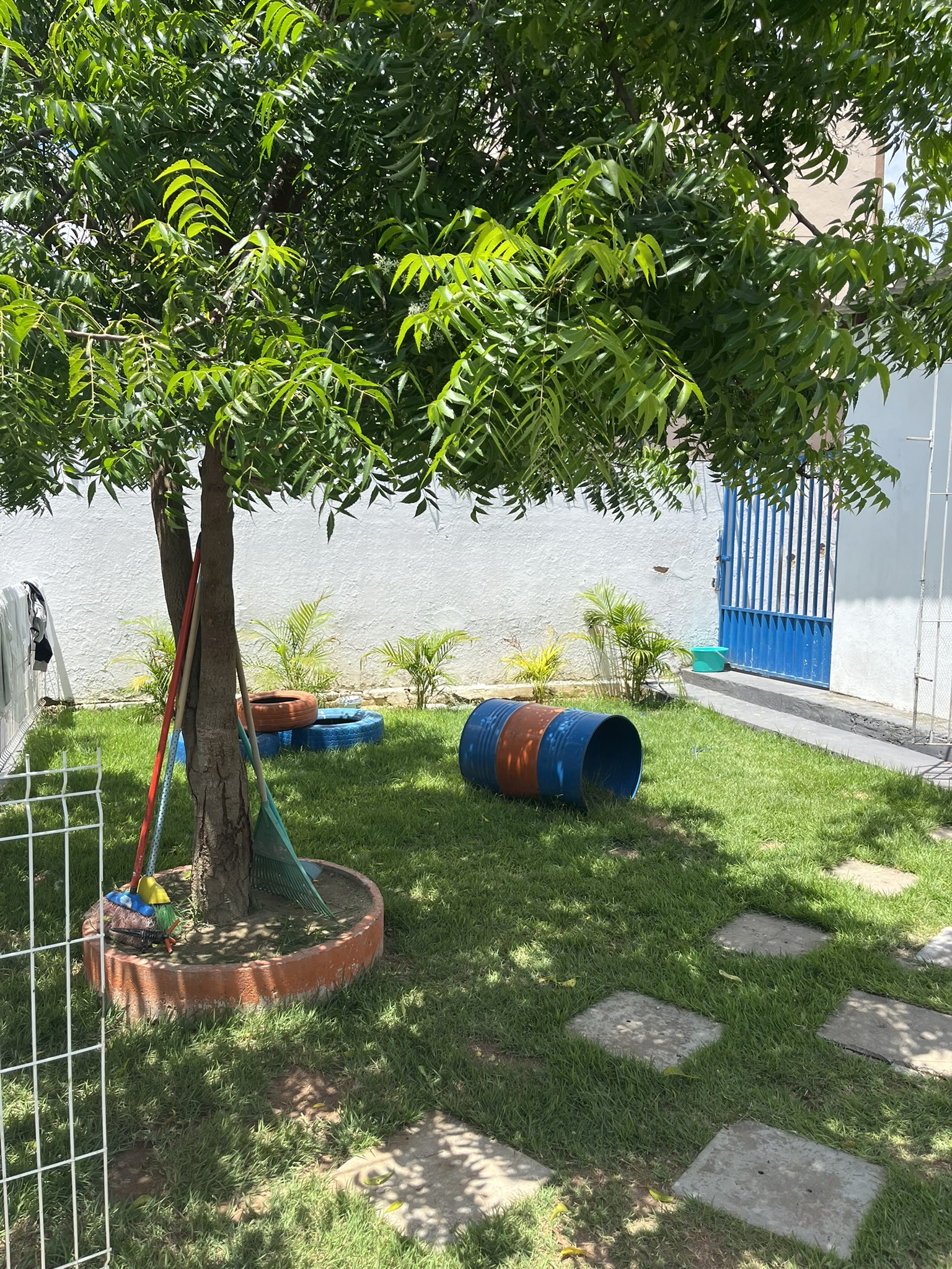 Brinquedos e acessórios pet expostos na loja Petlíder