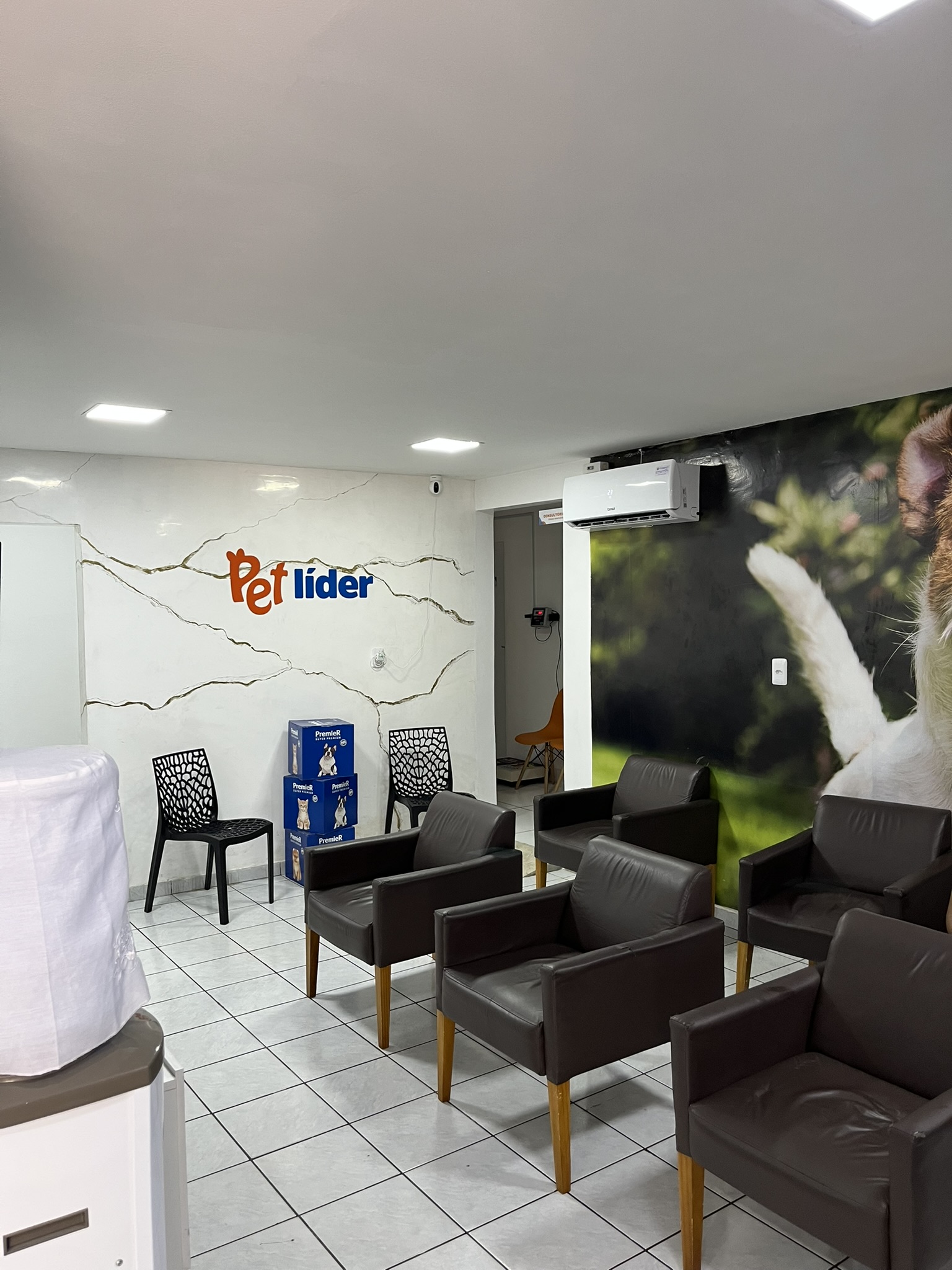 Ambiente interno organizado e acolhedor da Petlíder